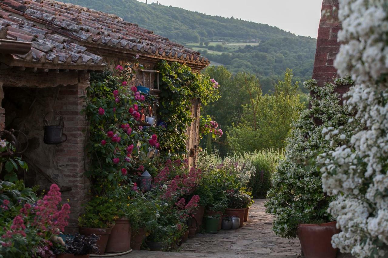 Follonico 4-Suite B&B Торрита-ди-Сьена Экстерьер фото